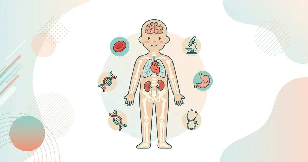 Human Body GK: Important Facts and Systems for SSC Exams
